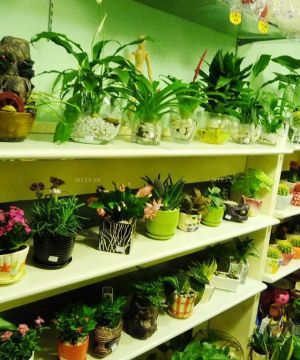 同城花店室内木制花架设计效果图2025图片
