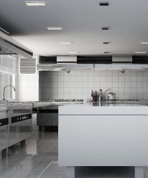 2025酒店厨房墙面瓷砖设计图片
