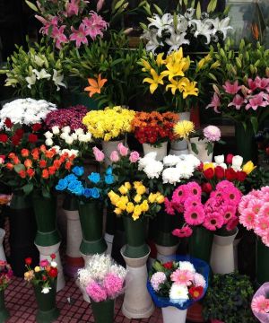 2025鲜花专卖店装修图片欣赏