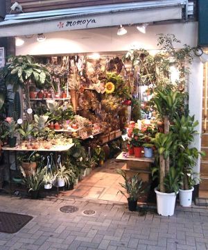 2025最新小型鲜花专卖店花架装修图片