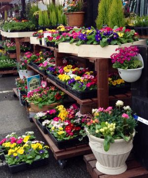 2025最新鲜花专卖店室外木制花架装修图片