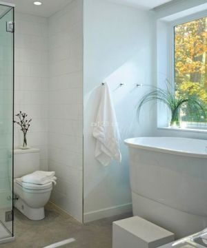 度假别墅浴室装修设计效果图片