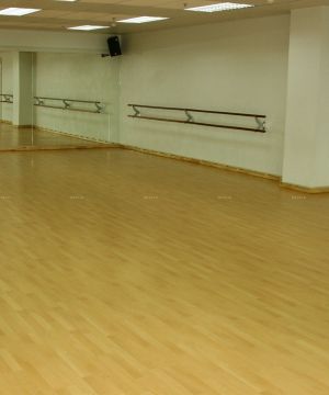 幼儿园舞蹈房原木地板装修效果图片