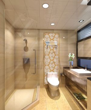 欧式风格小厕所整体淋浴房装修效果图片