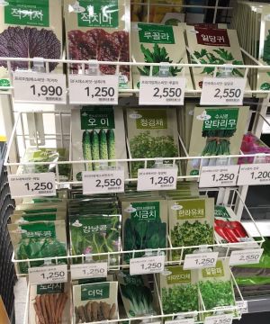 某超市室内货架装修效果图大全 