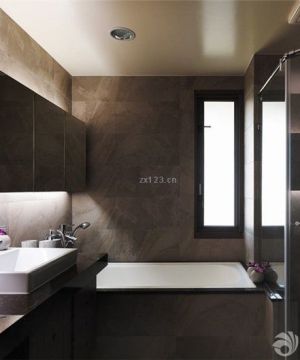 家装卫生间设计褐色墙面装修效果图片