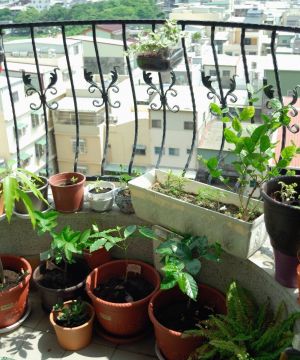 锌钢阳台护栏盆栽植物图片