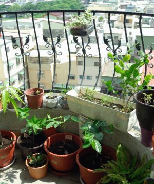 锌钢阳台护栏盆栽植物图片