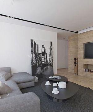 现代客厅白色墙面装修效果图片