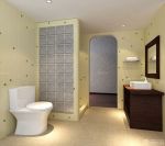 现代家庭室内小厕所吊顶装修效果图片