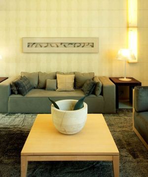 现代家装70平米房子组合沙发装修效果图片