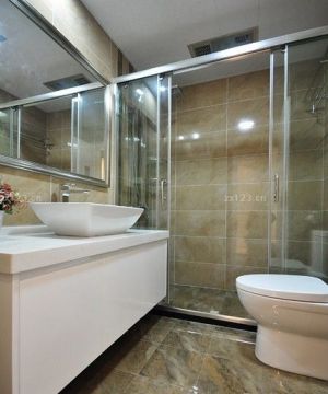 洗手间设计钢化玻璃隔断图片