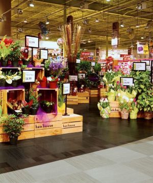 超市室内花卉盆景装饰图片