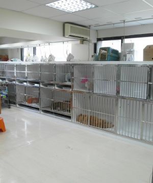 动物医院简约室内装修效果图片大全