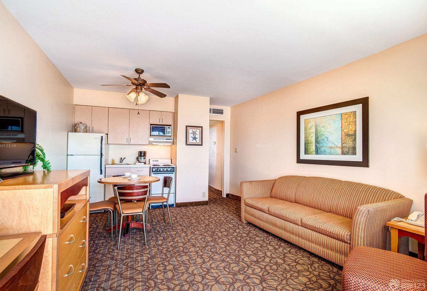 小户型公寓客厅装饰图片