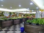 蔬果超市黑白相间地砖装修效果图片