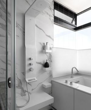 60平米房子浴室装修设计图片