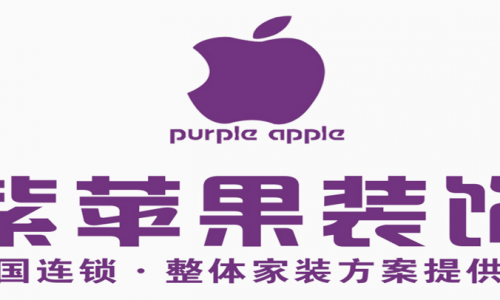 紫苹果装饰