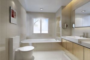 东莞装修材料---马桶的选购