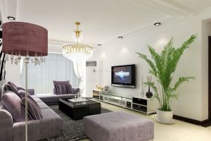 什么植物放在客厅 既好看寓意又好？