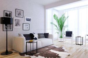 绿色植物帮你除甲醛 业丰装饰