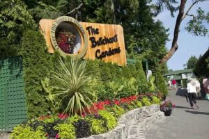 走进世界的十大花园，感受自然与人文的巧妙结合