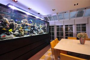 家居风水如何调整 调整家居风水的方法有哪些