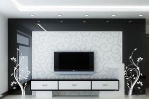 教你另类电视安装方法