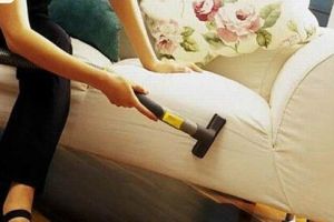 太容易脏了！布艺沙发如何清洗？