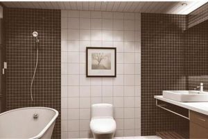 【苏州壹柒焕新】卫生间如何装修更美观? 【苏州壹柒焕新】卫生间如何装修更美观?