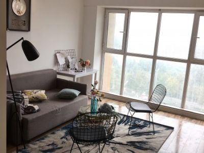 盛世壹号公馆22平北欧装修案例