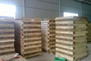 【潍坊东易日盛】春季装修8大注意事项