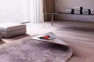 不想当茶几的地毯不是桌子！