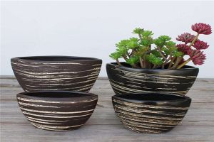 什么样的花盆最好 好看又耐用的绿植花盆推荐