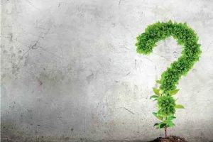 【南充优德装饰】家中绿植选择有门道