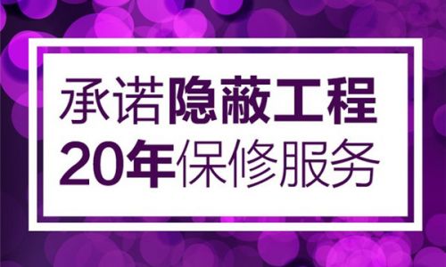 腾龙设计