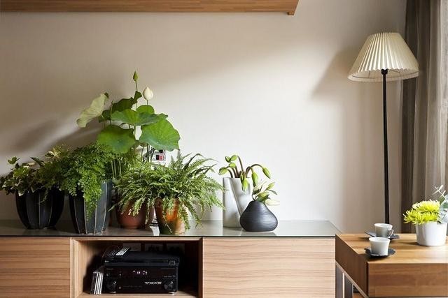 日式装修设计图