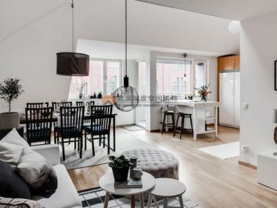 地王公馆——北欧风Loft