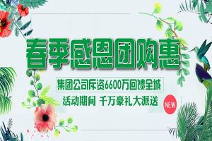 紫苹果装饰，懂爱更懂家