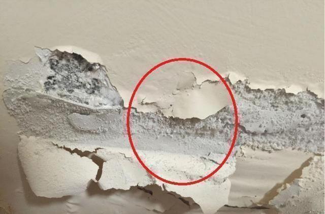 墙面脱落怎么办