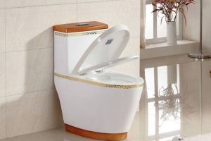 【元洲装饰】买马桶需要注意什么 马桶的保养技巧