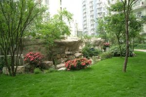 【昆山留白空间装饰】园林绿化要求与养护