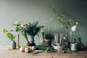 【忻州龙发装饰】家居花艺装饰|