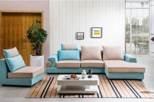 包头恒泰装饰:客厅摆什么植物风水好还招财