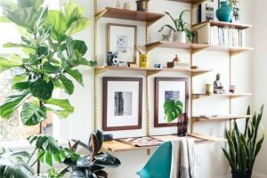 【品晟装饰】让家里多一抹绿色 生活更清新