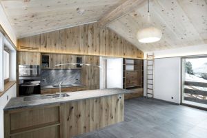 十种旺财又旺宅的植物，看看您家有没有