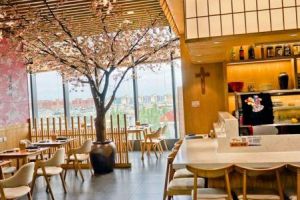 金点子装饰好不好 金点子装饰怎么样