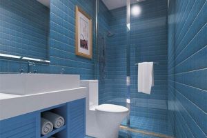 【拉萨微尚装饰】卫生间装修，挑一套回家照着装，肯定错不了