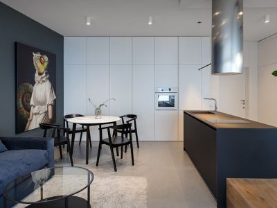 金沙宸宇公馆60平米现代风格装修案例