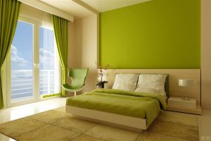 家装墙面装饰材料乳胶漆、硅藻泥、壁纸该怎样选择